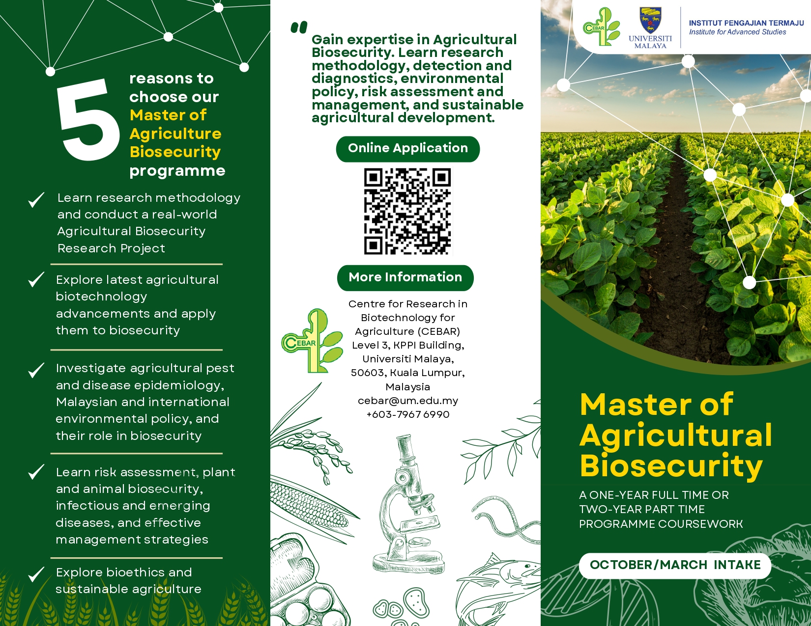 Brochure Page 1